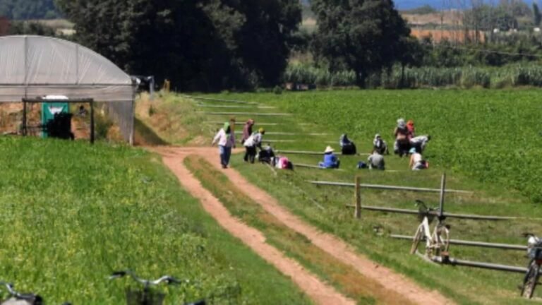Condenan a 16 años de prisión a empresario italiano por abandonar a jornalero gravemente herido tras accidente laboral